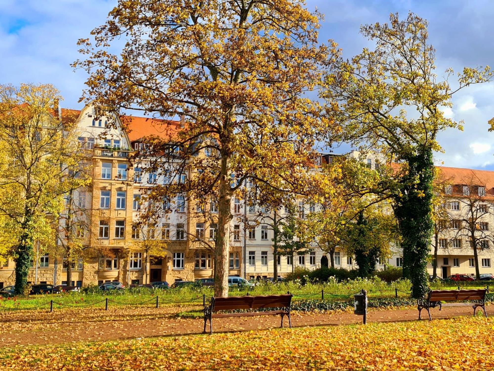 Kleinod Am Park - Zentrum-südost